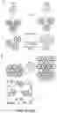 Fig. 07 - High-surface area functional material coated structures