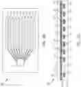 Fig. 04 - System for rapid, portable, and multiplexed detection and identification of pathogen specific nucleic acid sequences
