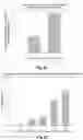 Fig. 13 - Fluid flow device