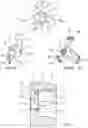 Fig. 04 - SPRAY HEAD FOR A FLUID PRODUCT AND USE OF SUCH A HEAD