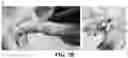 Fig. 12 - DIGITAL PARTICLE EJECTION PRINTING