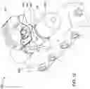 Fig. 19 - Spray pattern of nozzle systems