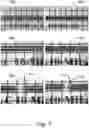Fig. 08 - COMPOSITIONS PROMOTING THE ACCELERATED DEGRADATION OF METALS AND COMPOSITE MATERIALS