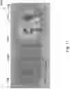 Fig. 12 - COMPOSITIONS PROMOTING THE ACCELERATED DEGRADATION OF METALS AND COMPOSITE MATERIALS