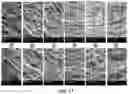 Fig. 10 - Electroactive materials comprising a piezoelectric polymer and a conducting polymer