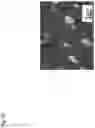 Fig. 19 - Friction pressure welding method