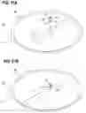 Fig. 41 - Polishing-pad laminated structure, polishing-pad positioning instrument, and method of attaching a polishing pad to a polishing table