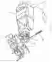 Fig. 03 - Automatic pick-up equipment