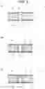 Fig. 04 - Vehicle interior board and method for manufacturing same