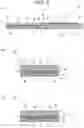 Fig. 06 - Vehicle interior board and method for manufacturing same