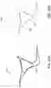 Fig. 20 - Generating tool paths to preserve filament continuity in additive manufacturing