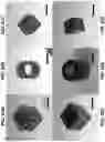 Fig. 83 - FABRICATION AND DESIGN OF COMPOSITES WITH ARCHITECTED LAYERS