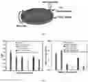 Fig. 04 - Method To Produce Polymer Matrix Composites