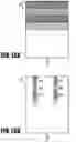 Fig. 14 - Printing apparatus, printing method, and storage medium