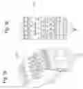 Fig. 04 - Printer for marking strips
