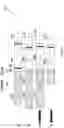 Fig. 26 - Method and system for enhancing throughput of thermal printer cutter