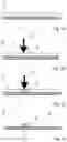 Fig. 03 - METHOD FOR PRODUCING A CONTROL ELEMENT MADE OF PLASTIC WITH BACKLIT IMAGERY THAT IS METALLIZED ON ONE SIDE, CONTROL ELEMENT WITH BACKLIT IMAGERY, AND MACHINE FOR CARRYING OUT A PLURALITY OF METHOD STEPS