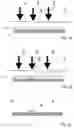 Fig. 04 - METHOD FOR PRODUCING A CONTROL ELEMENT MADE OF PLASTIC WITH BACKLIT IMAGERY THAT IS METALLIZED ON ONE SIDE, CONTROL ELEMENT WITH BACKLIT IMAGERY, AND MACHINE FOR CARRYING OUT A PLURALITY OF METHOD STEPS