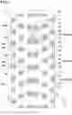 Fig. 02 - Tyre