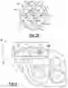 Fig. 04 - VEHICLE ACTUATOR CABLE DAMPENER