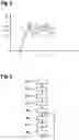 Fig. 03 - DC-to-DC voltage converter, voltage supply device, and diagnostic method for a DC-to-DC voltage converter