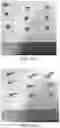 Fig. 13 - Composite articles including textured films and recreational vehicle articles including them
