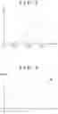 Fig. 09 - Steering control unit