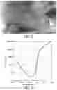 Fig. 02 - Method and system for preventing fouling of surfaces