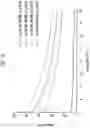 Fig. 10 - Method for manufacturing resin sheet, resin sheet, method for manufacturing structural body, structural body, and airframe of aircraft