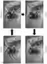 Fig. 31 - Coilable thin-walled longerons and coilable structures implementing longerons and methods for their manufacture and coiling