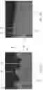 Fig. 07 - Blow molded article with visual effects