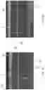Fig. 08 - Blow molded article with visual effects