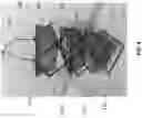 Fig. 05 - Collapsible basket set