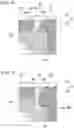 Fig. 09 - Molding head