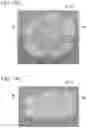 Fig. 17 - Molding head