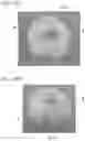 Fig. 18 - Molding head