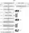 Fig. 08 - Method of controlling artificial intelligent liquid dispensing apparatus