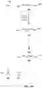 Fig. 11 - Renewable flame-retardant compounds derived from muconic acid