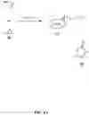 Fig. 19 - Renewable flame-retardant compounds derived from muconic acid