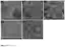 Fig. 08 - Mesoporous tungsten oxide composition