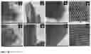 Fig. 09 - Mesoporous tungsten oxide composition