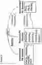 Fig. 06 - Faradic porosity cell