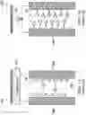 Fig. 02 - Integrated energy generation and desalination system and method