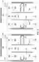 Fig. 05 - Integrated energy generation and desalination system and method