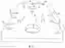 Fig. 04 - Multiple Chamber Septic Tank with a Plurality of Large and Small Access Ports