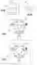 Fig. 07 - Spinel-based oxides containing magnesium, aluminum and titanium and methods of forming articles having same