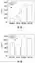 Fig. 06 - Ceramic composite materials and methods