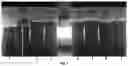 Fig. 10 - Organic flocculant and fertilizer