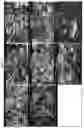 Fig. 08 - Catalysts for the oxidative dehydrogenation of alkanes