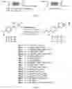 Fig. 02 - Antifungal compounds and methods of forming the same